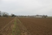 Ormeaux au loin